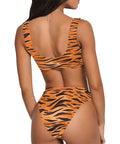 Animal-Print-Womens-Bikini-Set-Tiger-Model-Back-View